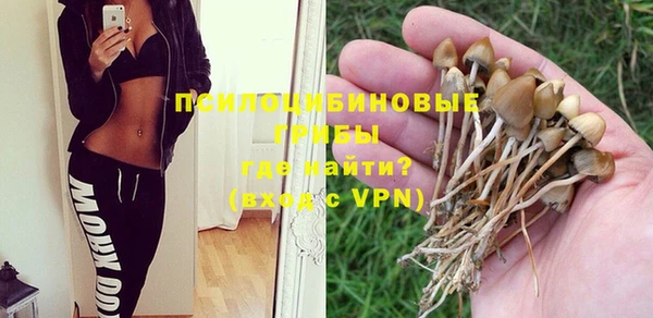mix Алексеевка