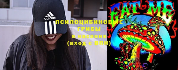 круглые Алзамай