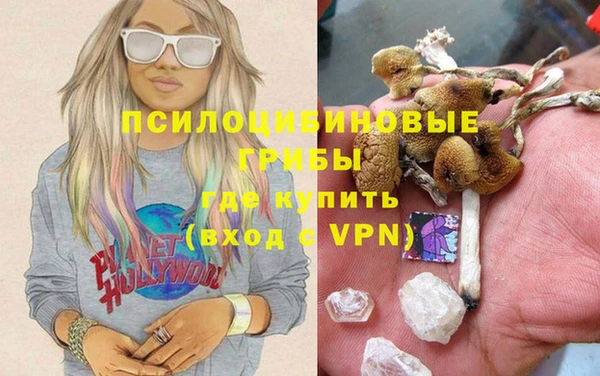 круглые Алзамай